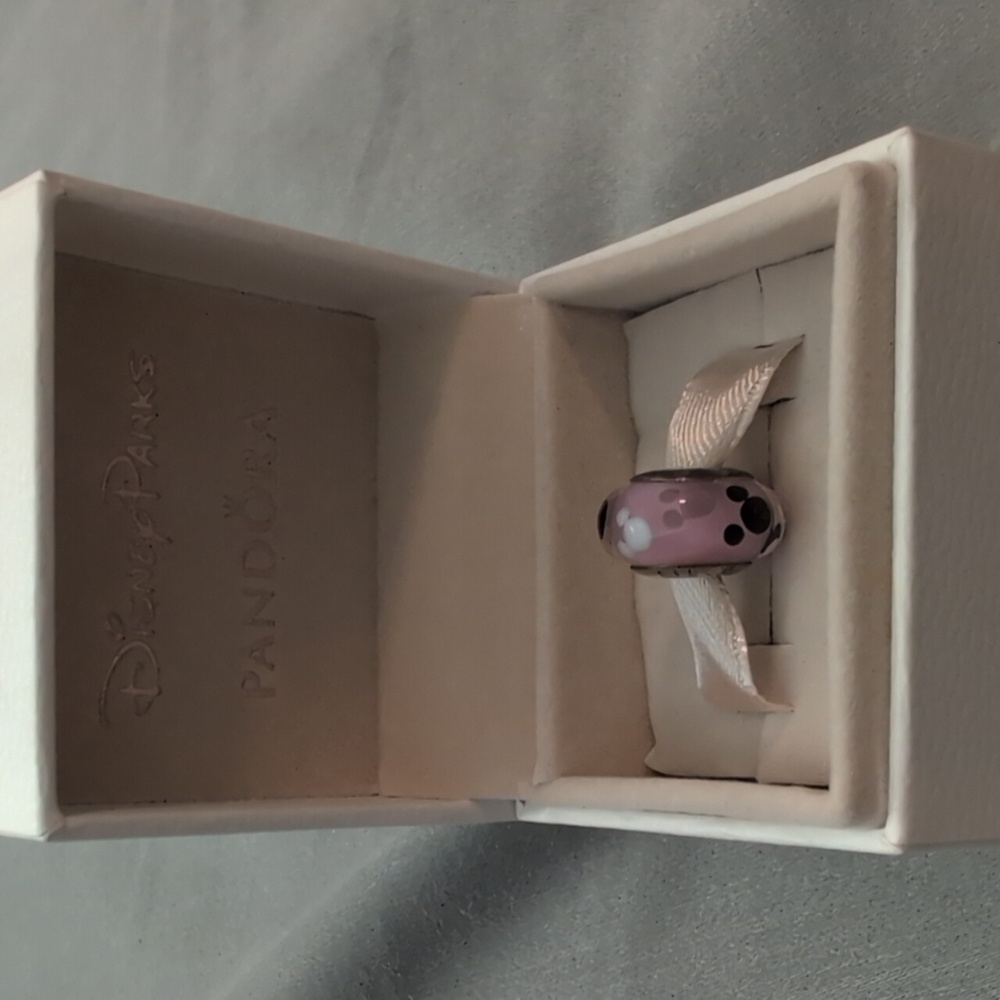 Pandora Disney Parks Pink and Black Charm